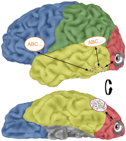 figure-3