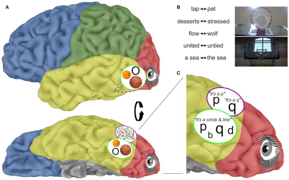 figure-4